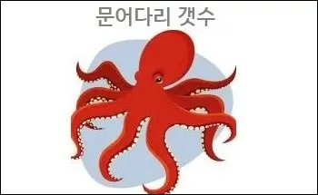 문어다리 갯수