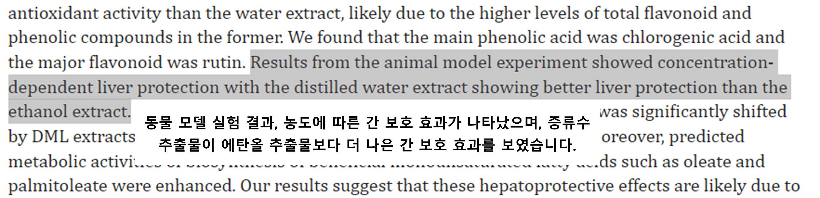 황칠나무 효능 (간 기능 개선)