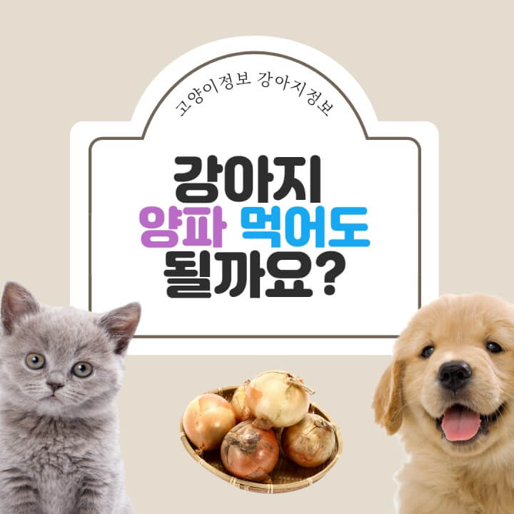 강아지-양파-썸네일