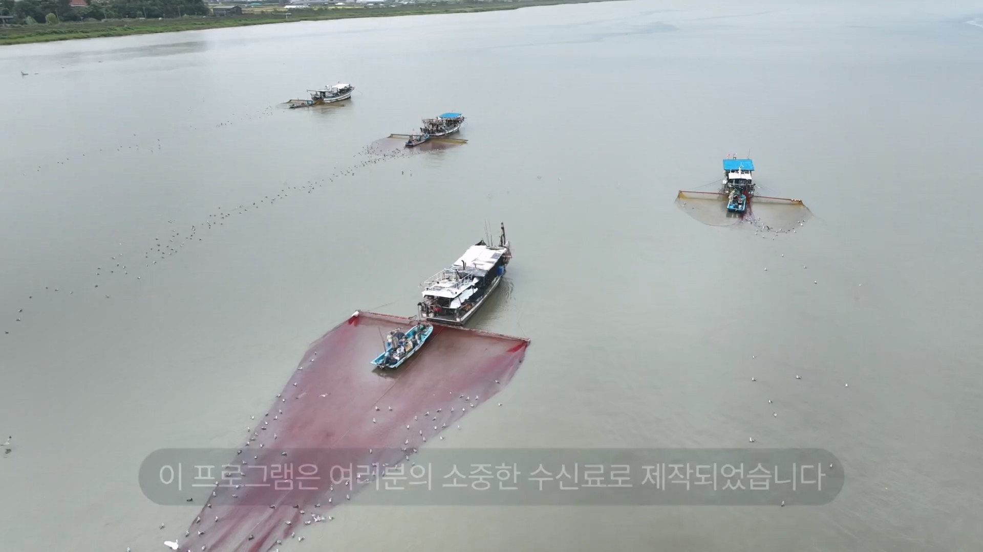 추석 특집 다큐 1부 - 한강에 살어리랏다.E01.230928p-NEXT.mp4_20230929_152334.449.jpg