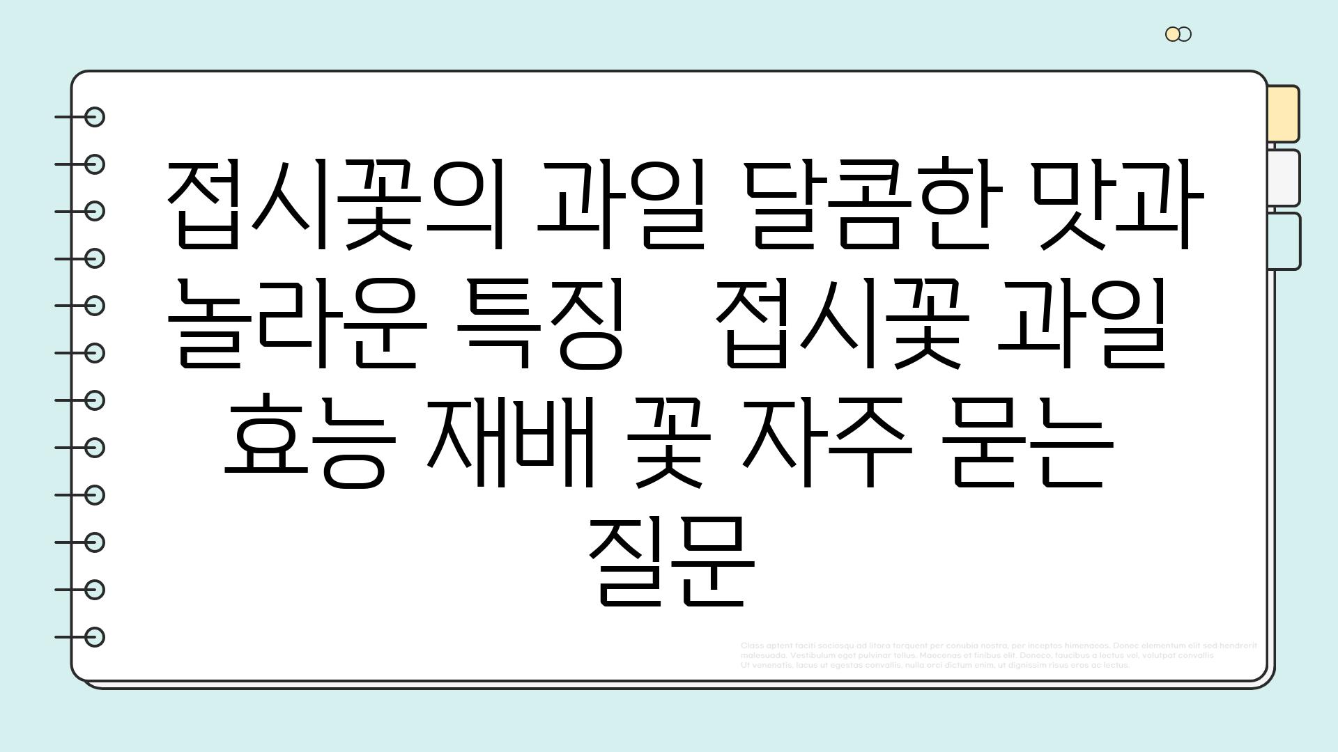  접시꽃의 과일 달콤한 맛과 놀라운 특징   접시꽃 과일 효능 재배 꽃 자주 묻는 질문