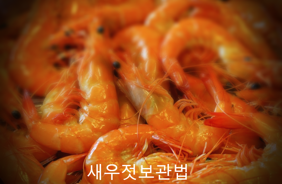  새우젓 보관법과 효능 알아봐요 오젓 육젓 차젓 추젓 동젓까지 알아봐요
