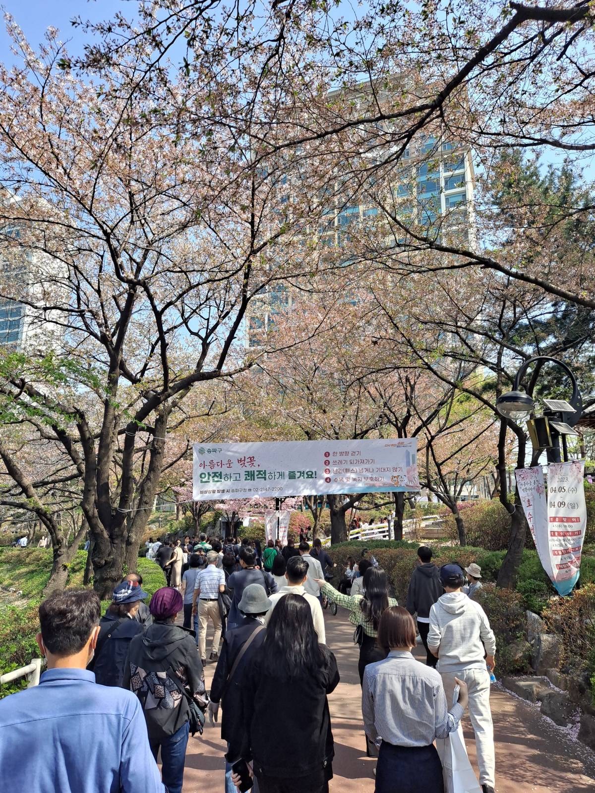 벚꽃축제 송파구 캠페인