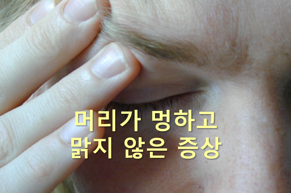  머리가 멍하고 맑지 않은 증상과 머리가 어지러운 증상