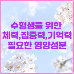 수험생을 위한 영양성분