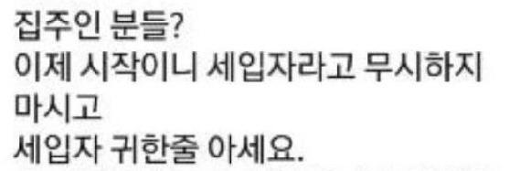 갑자기 전세금 5천 올려달라는 집주인 복수하려 00해버렸습니다… 13