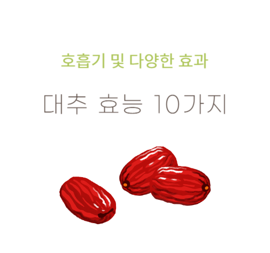 대추의효능-10가지