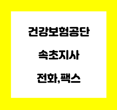  건강보험공단 속초지사 전화번호