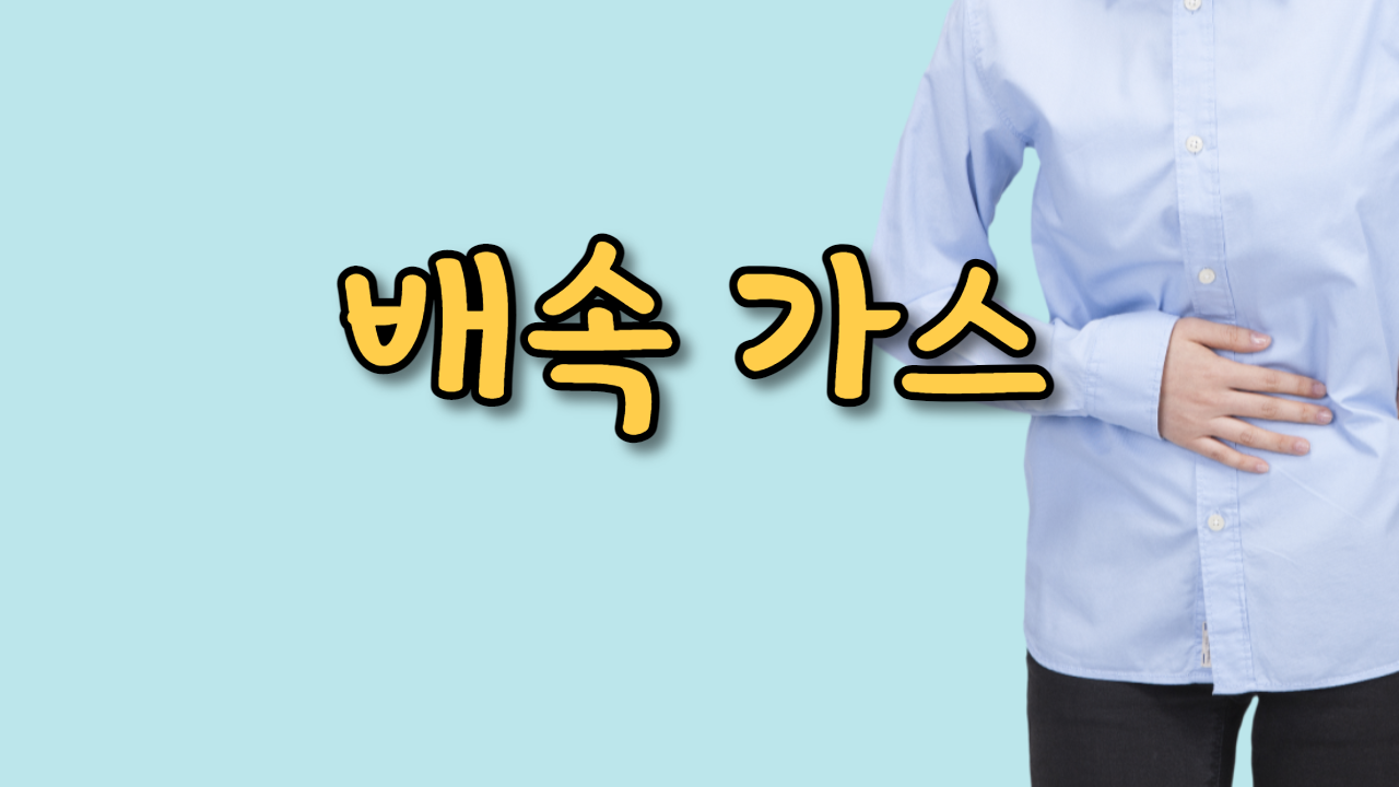  배속 가스
