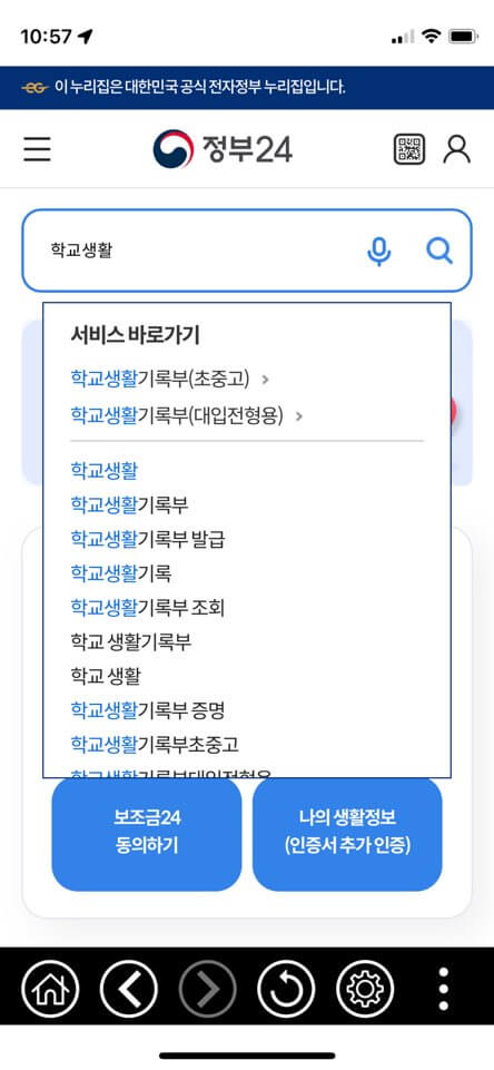 학교생활기록부(초중고)