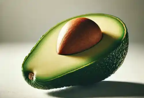 아보카도 이미지