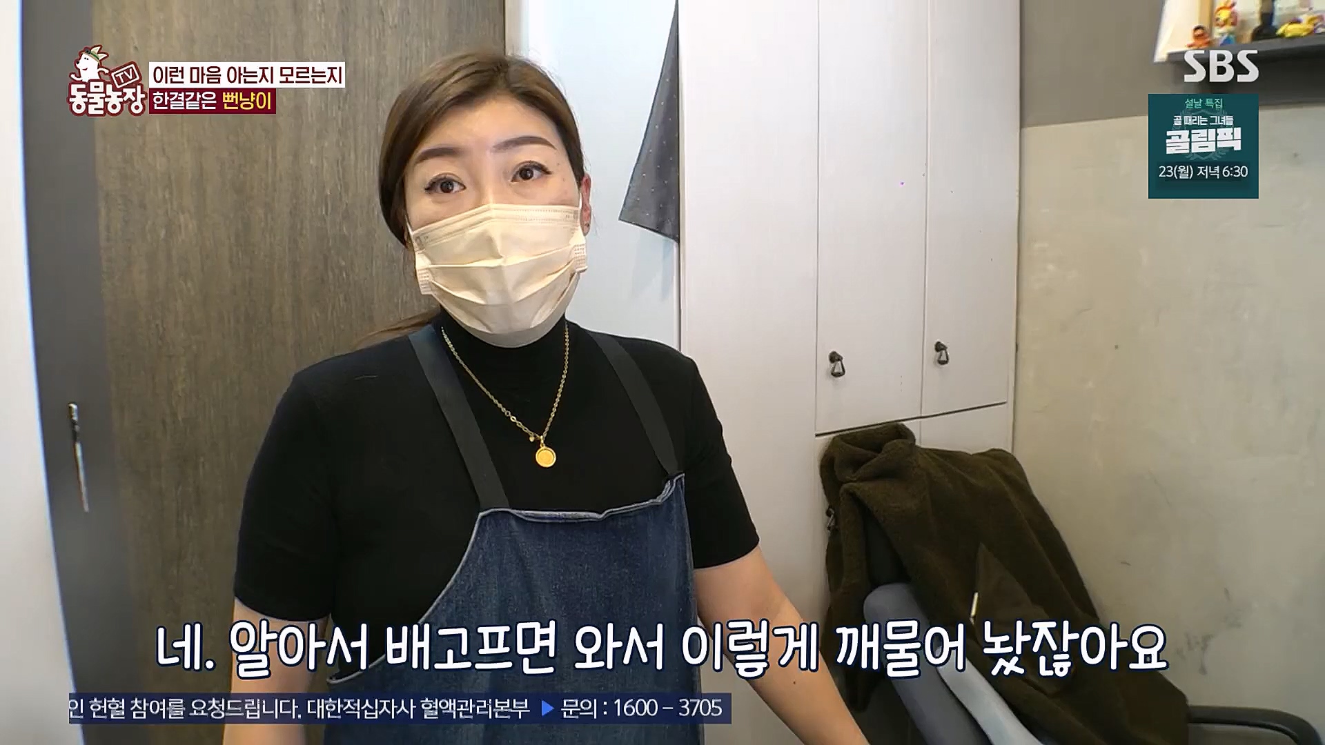 TV 동물농장.E1104.230115p.H264-F1RST.mp4_20230115_173208.668.jpg