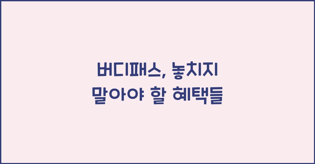 버디패스