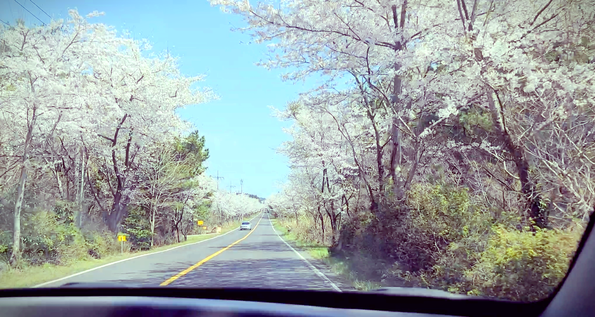 제주도 탁송 제주 여행