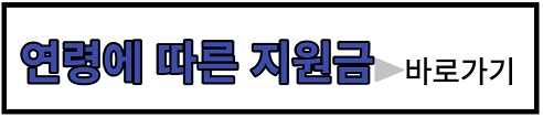 연령에 따른 지원금 바로가기