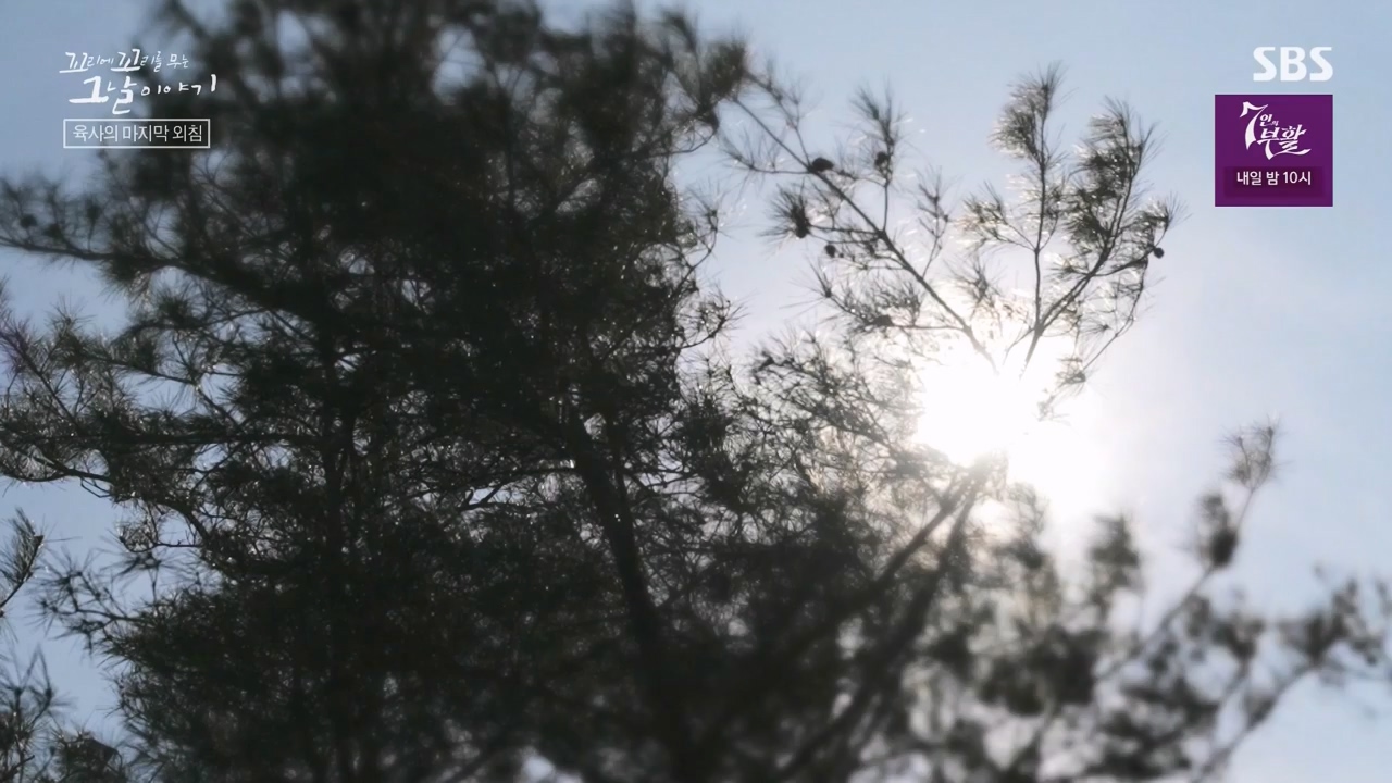꼬리에 꼬리를 무는 그날 이야기.E122.240405p-NEXT.mp4_20240406_160132.301.jpg