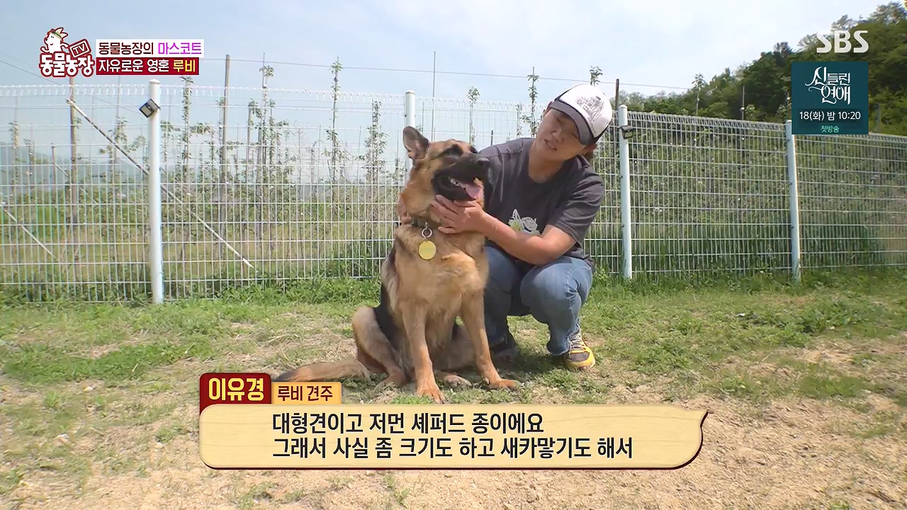 TV 동물농장.E1176.240617p-NEXT.mp4_20240616_171018.633.jpg