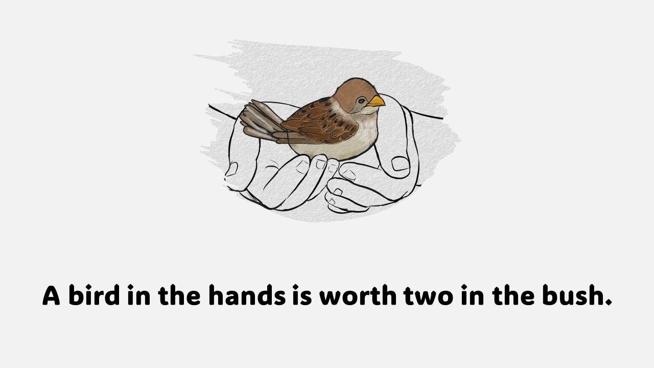  새, 조류(Bird)에 대한 영어 명언 및 속담 모음