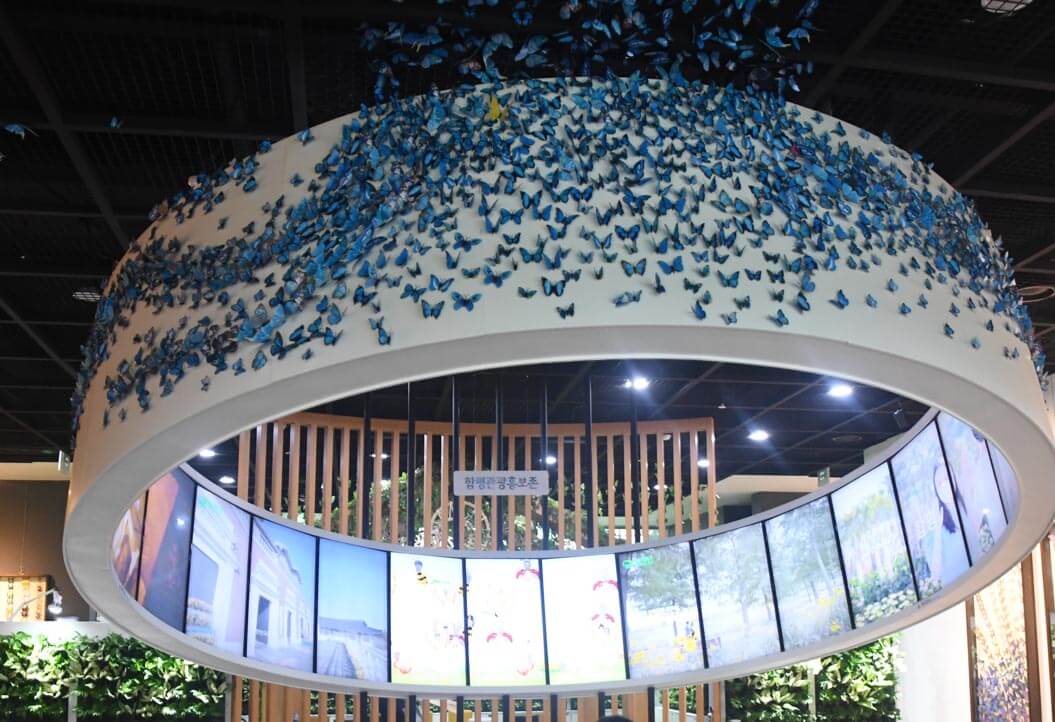 함평 나비 축제