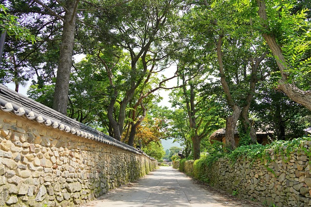 자연친화