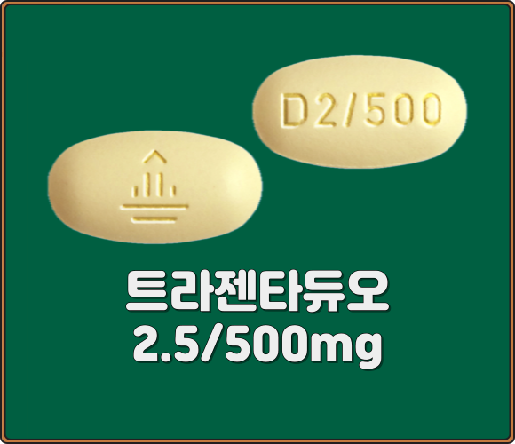 트라젠타듀오정_2.5/500mg