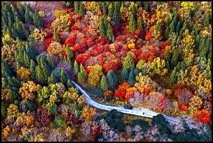 설악산-단풍-풍경-사진
