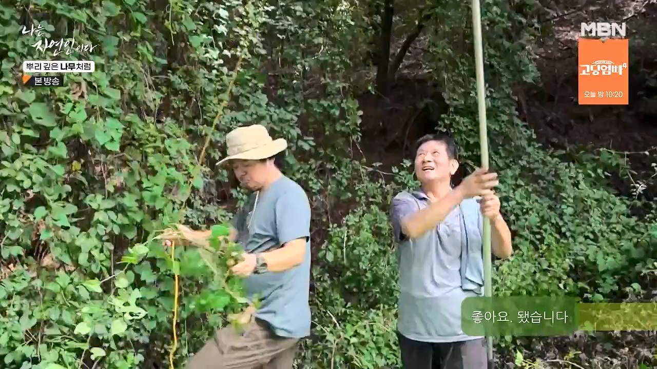 나는 자연인이다.E571.230914p-NEXT.mp4_20230914_202155.483.jpg