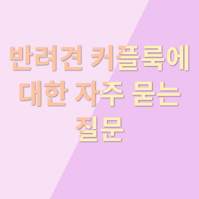 반려견 커플룩_4