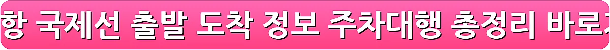 인천공항 국제선 출발 도착 정보 주차대행 총정리_25