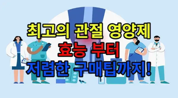 관절 영양제 추천