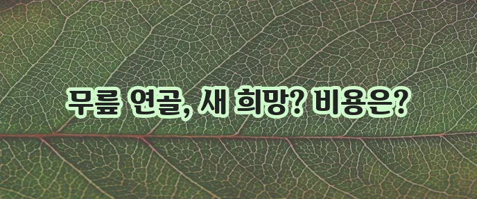 무릎 연골 줄기세포 치료 효과와 장점 비용을 확실히 알아봅시다!