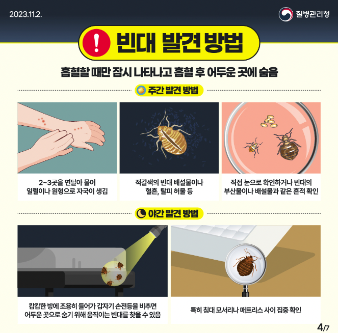 빈대 퇴치법 예방법 발견하는 방법