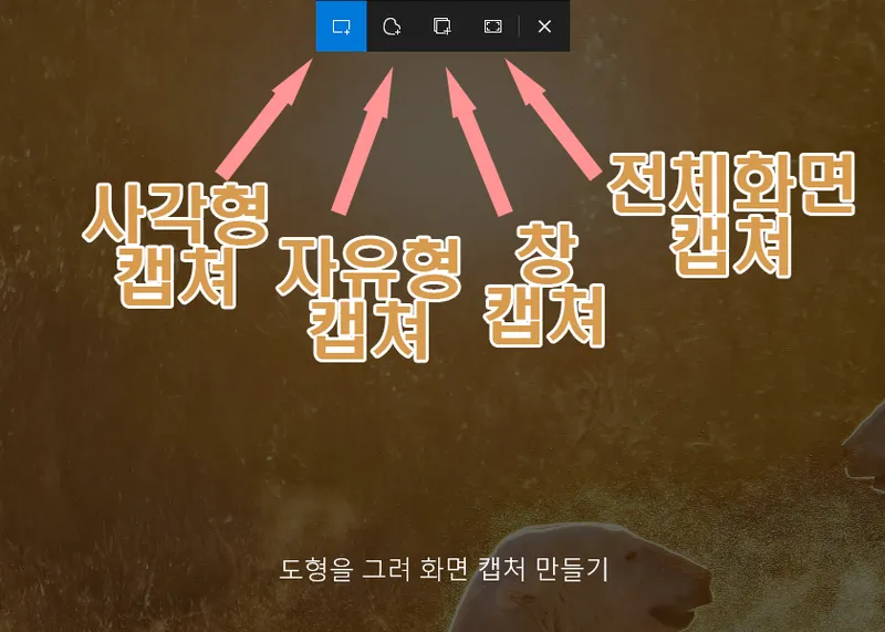 윈도우 단축키를 사용한 캡쳐방법