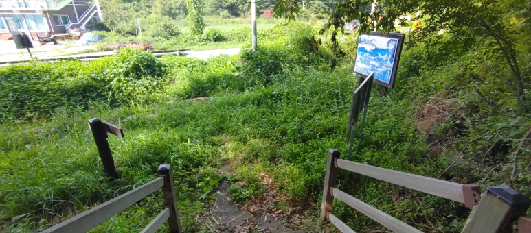 제진검문소 - 통일전망대 출입신고소 해파랑길 50코스 : 6