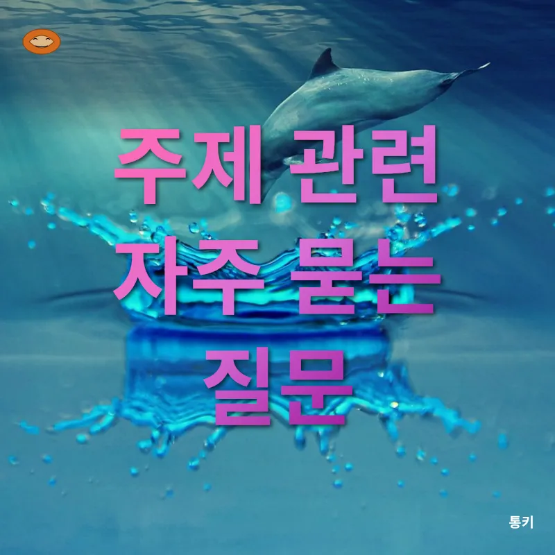 돌고래 관찰 투어_4
