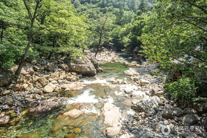 대원사 계곡 전경 이미지