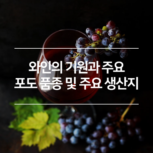 와인의 기원과 주요 포도 품종 및 주요 생산지