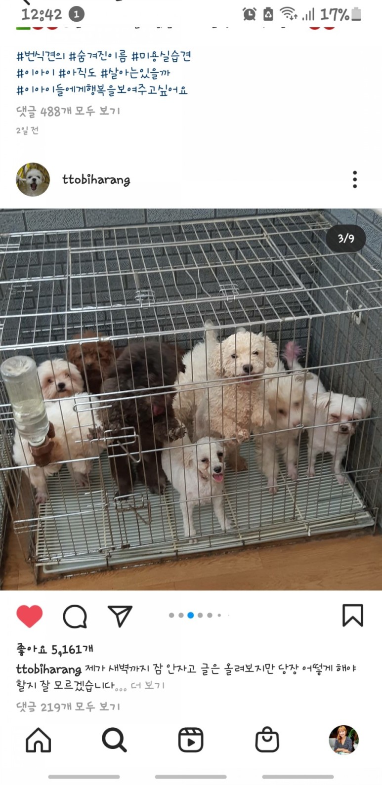 애견미용학원 학대 2