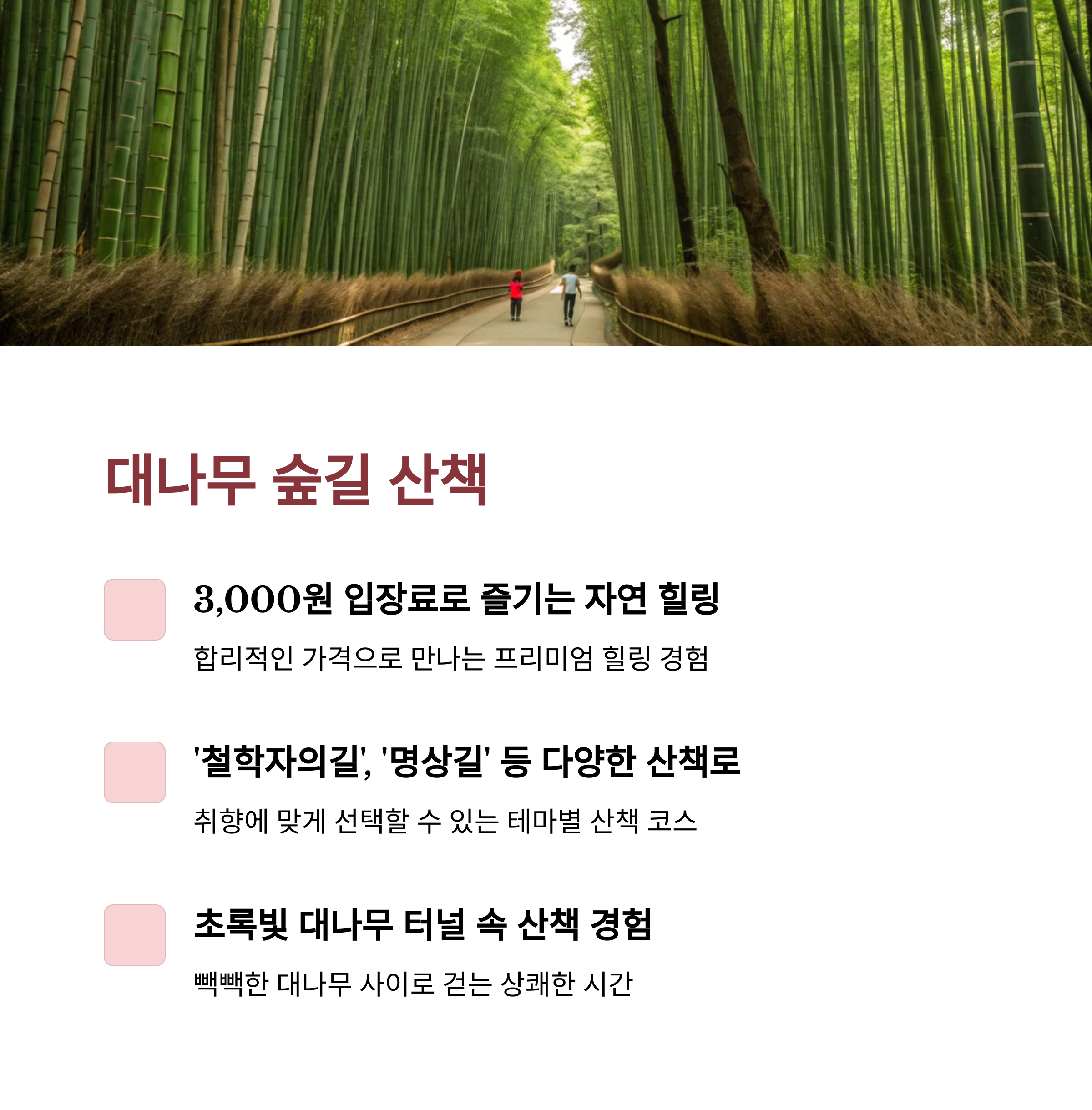 담양 죽녹원 솔직 후기