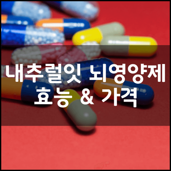 내추럴잇-포스파티딜세린-뇌영양제-성분-효능-2가지-가격