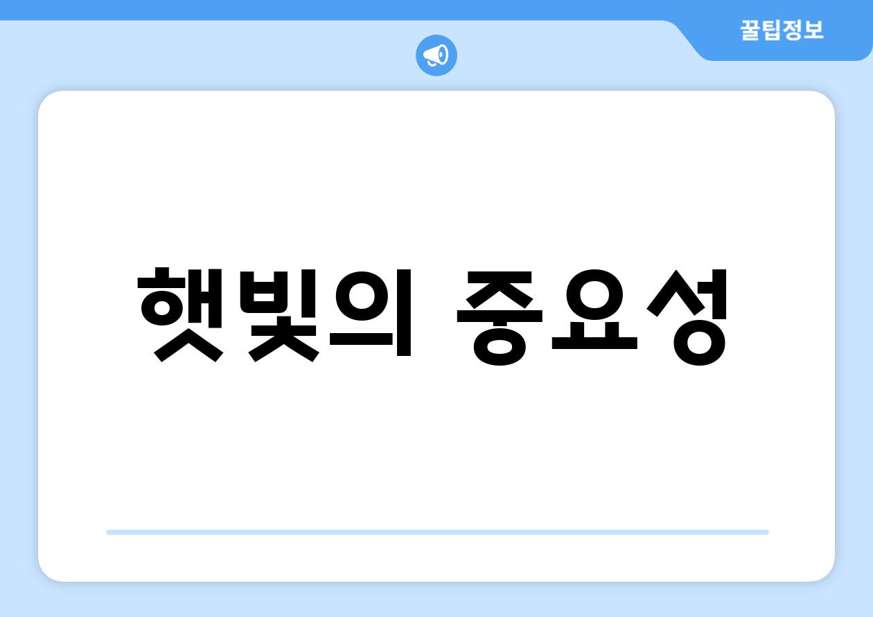 햇빛의 중요성