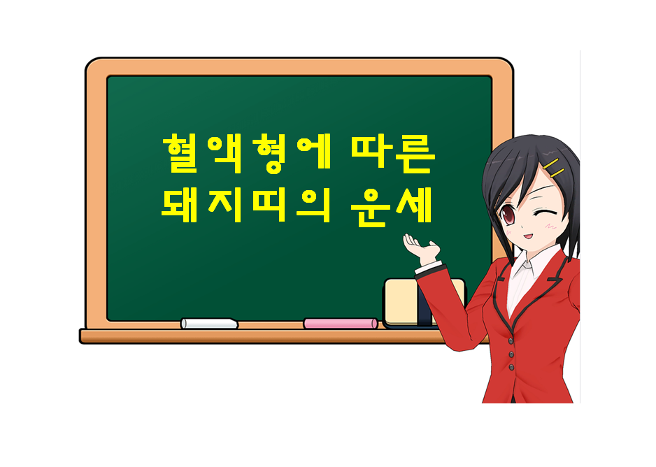  돼지띠, 혈액형에 따른 운세가 궁금하다면?