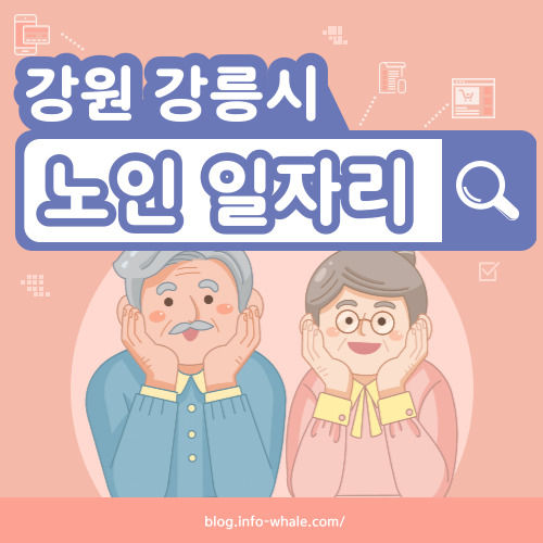 강릉시 노인일자리 구직