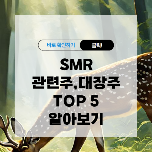 SMR 관련주 대장주 TOP 5 알아보기