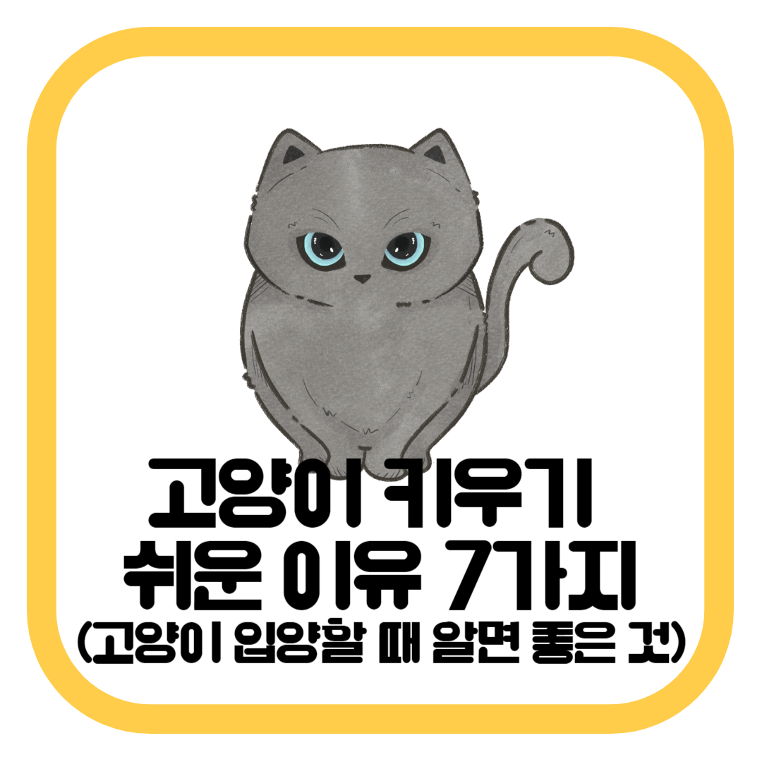 고양이 키우기 쉬운 이유 7가지(고양이 입양할 때 알면 좋은 것)