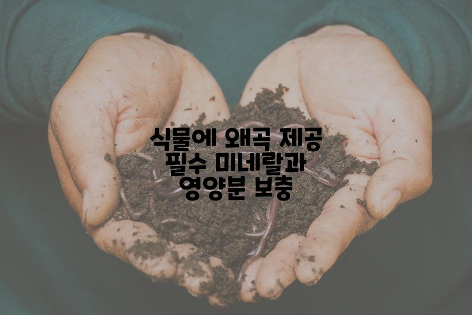 식물에 왜곡 제공 필수 미네랄과 영양분 보충