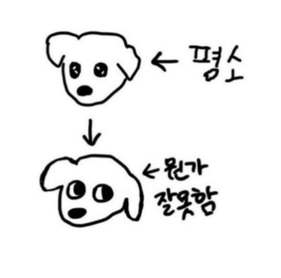  개 키우는 주인들이 제일 두려워하는 상황