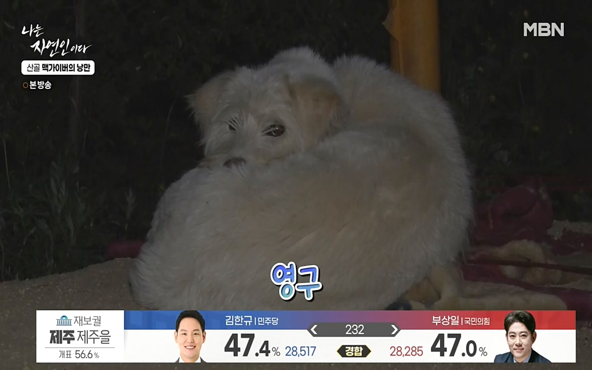 나는 자연인이다.E504.220602p-NEXT.mp4_20220602_201449.291.jpg