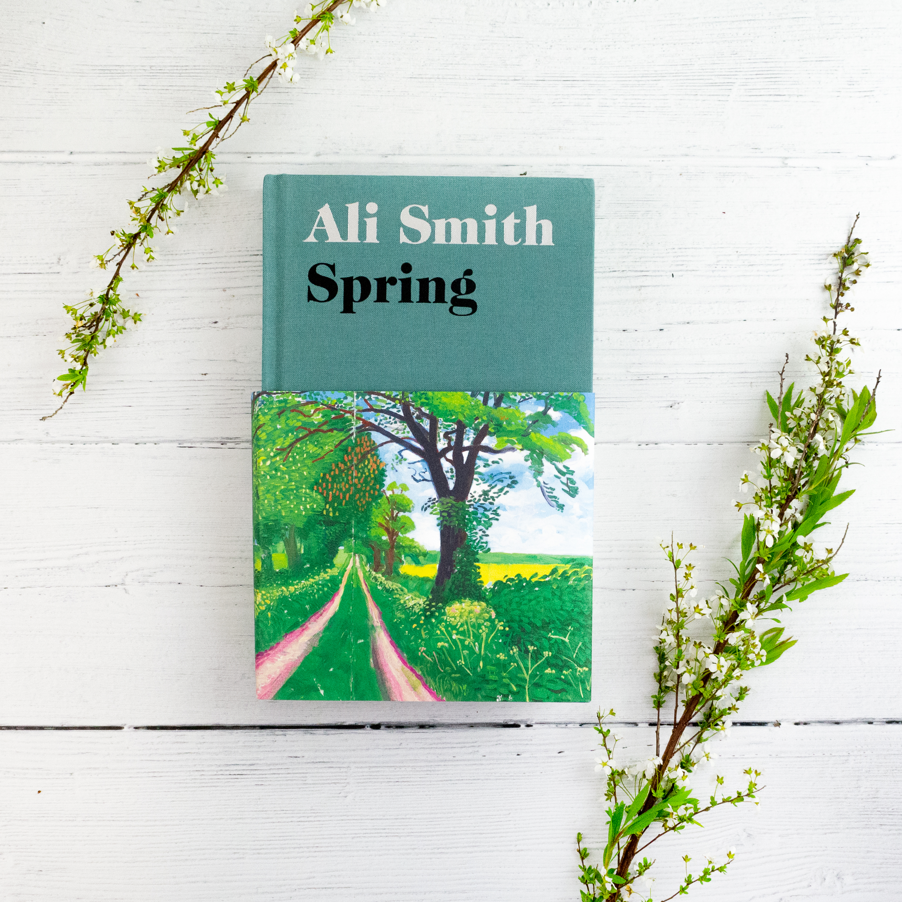 book&#44; Spring by Ali Smith