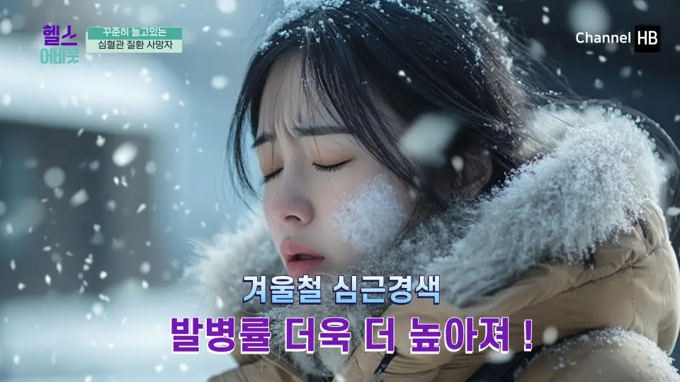 혈전용해제 나토키나제